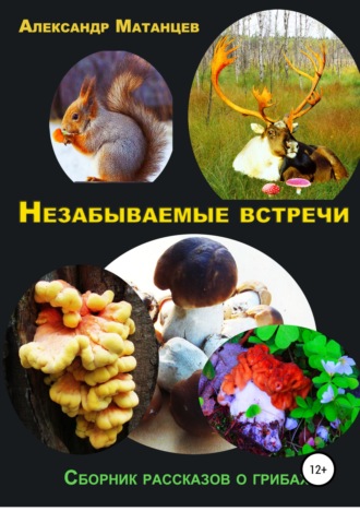 Обложка книги «Незабываемые встречи. Сборник рассказов о грибах»