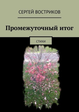 Сергей Востриков. Промежуточный итог. Стихи