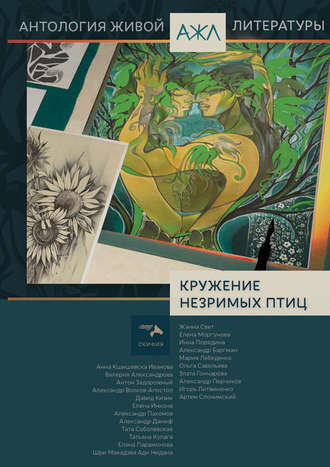 Обложка книги «Кружение незримых птиц»