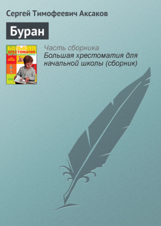 Обложка книги «Буран»
