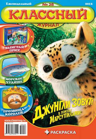 Обложка книги «Классный журнал №28/2012»