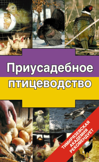 Обложка книги «Приусадебное птицеводство»