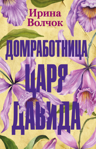 Обложка книги «Домработница царя Давида»