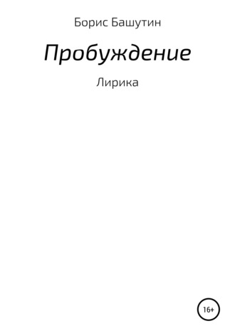 Борис Валерьевич Башутин. Пробуждение