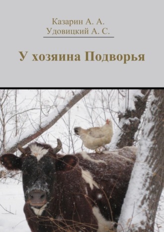 Обложка книги «У хозяина Подворья»