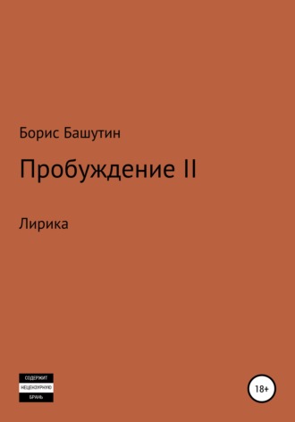 Борис Валерьевич Башутин. Пробуждение 2