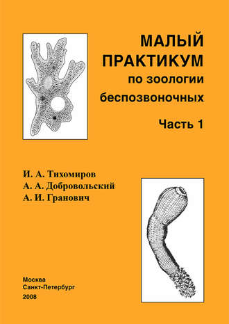 Обложка книги «Малый практикум по зоологии беспозвоночных. Часть 1»