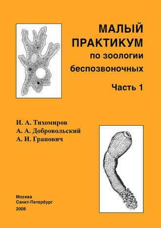 А. А. Добровольский. Малый практикум по зоологии беспозвоночных. Часть 1