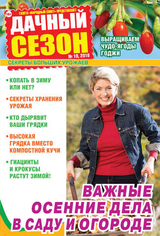Обложка книги «Дачный сезон №10/2018»