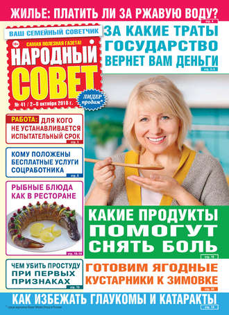 Обложка книги «Народный совет №41/2018»