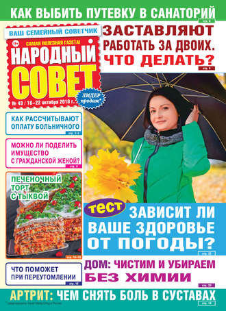 Обложка книги «Народный совет №43/2018»
