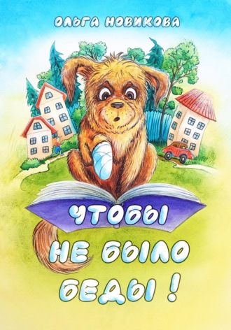 Обложка книги «Чтобы не было беды!»