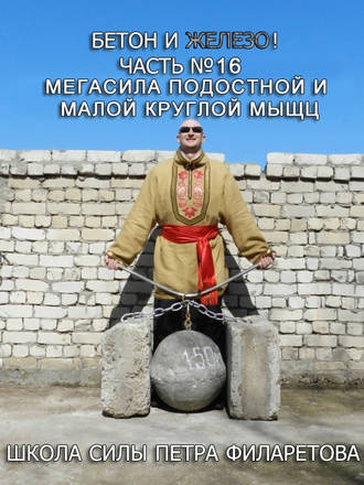 Обложка книги «Мегасила подостной и малой круглой мышц»