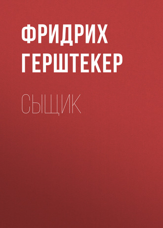 Обложка книги «Сыщик»