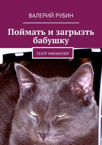 Валерий Рубин. Поймать и загрызть бабушку. Театр миниатюр