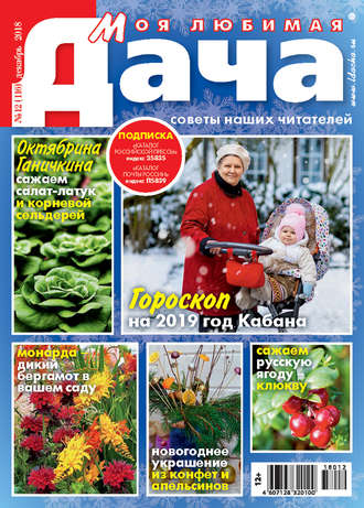 Обложка книги «Моя любимая дача №12/2018»