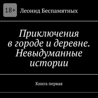 Обложка книги «Приключения в городе и деревне. Невыдуманные истории. Книга первая»