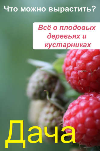 Обложка книги «Что можно вырастить? Всё о плодовых деревьях и кустарниках»