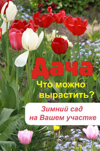 Обложка книги «Что можно вырастить? Зимний сад на вашем участке»