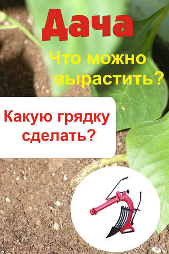 Обложка книги «Что можно вырастить? Какую грядку сделать?»