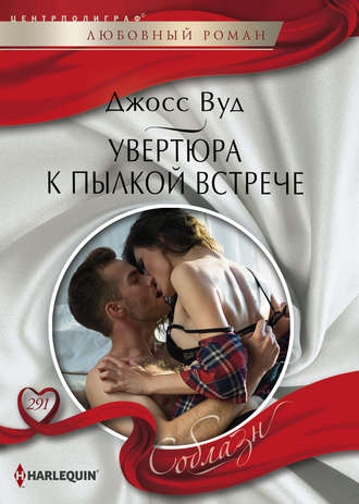 Обложка книги «Увертюра к пылкой встрече»