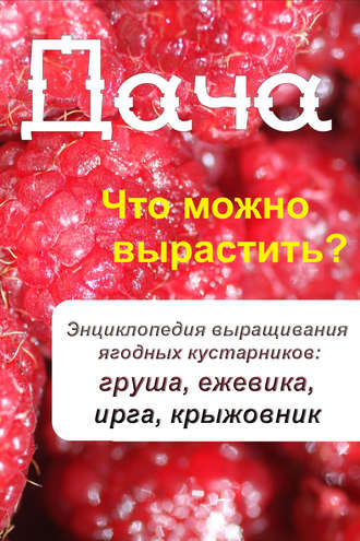Обложка книги «Что можно вырастить? Энциклопедия выращивания ягодных кустарников: груша, ежевика, ирга, крыжовник»