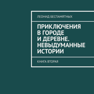 Обложка книги «Приключения в городе и деревне. Невыдуманные истории. Книга вторая»
