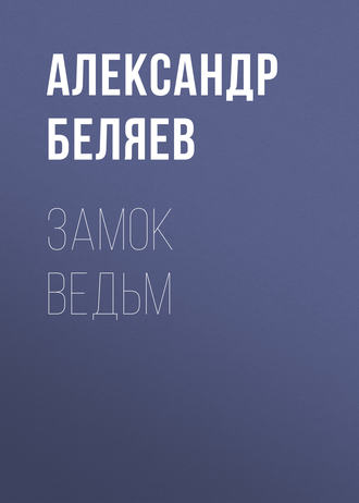 Обложка книги «Замок ведьм»