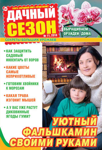 Обложка книги «Дачный сезон №11/2018»