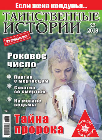 Обложка книги «Таинственные истории №23/2018»