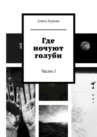 Обложка книги «Где ночуют голуби. Часть I»