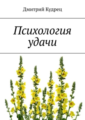 Обложка книги «Психология удачи»