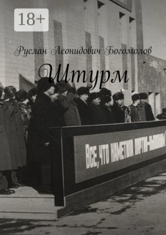 Обложка книги «Штурм»