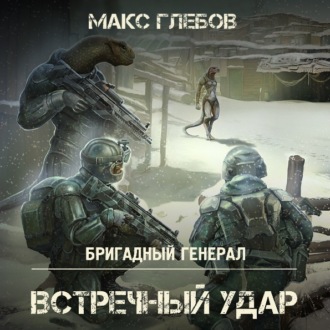 Обложка книги «Встречный удар»