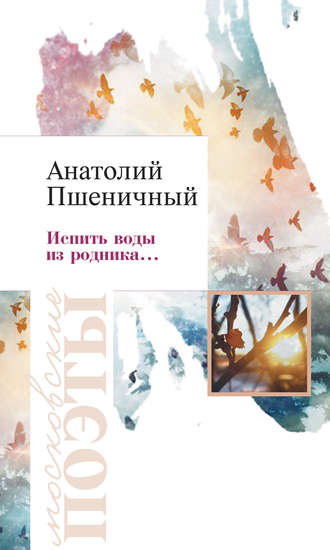 Обложка книги «Испить воды из родника…»