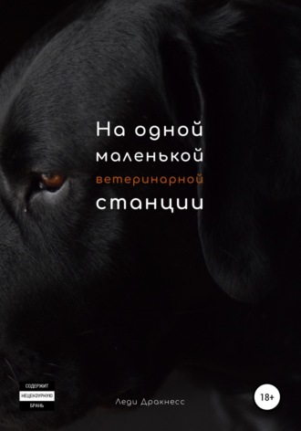 Обложка книги «На одной маленькой ветеринарной станции»