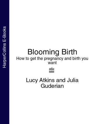 Lucy  Atkins. Blooming Birth: How to get the pregnancy and birth you want