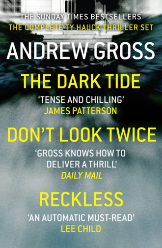 Andrew  Gross. Andrew Gross 3-Book Thriller Collection 1: The Dark Tide, Don’t Look Twice, Relentless