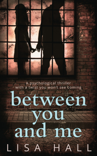 Lisa  Hall. Between You and Me: The bestselling psychological thriller with a twist you won’t see coming