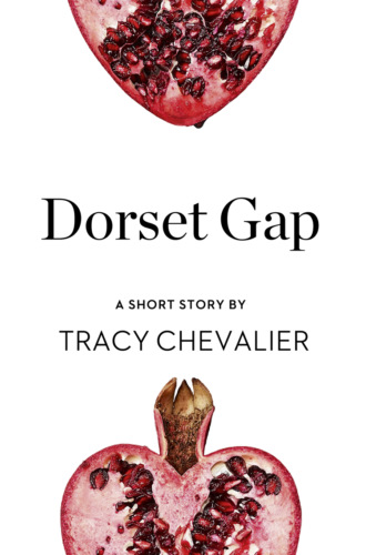 Tracy  Chevalier. Dorset Gap: A Short Story from the collection, Reader, I Married Him