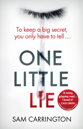 Sam  Carrington. One Little Lie: From the best selling author comes a new crime thriller book for 2018