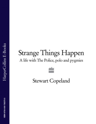 Stewart Copeland. Strange Things Happen: A life with The Police, polo and pygmies