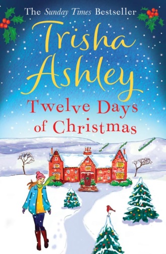 Trisha  Ashley. Twelve Days of Christmas: A bestselling Christmas read to devour in one sitting!