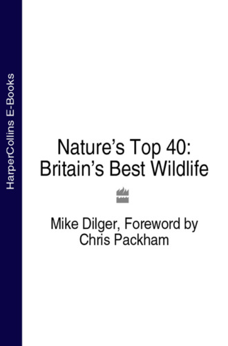 Chris  Packham. Nature’s Top 40: Britain’s Best Wildlife