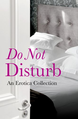 Elizabeth  Coldwell. Do Not Disturb: An Erotica Collection