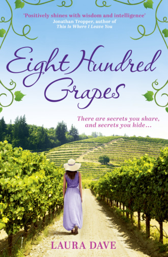 Laura  Dave. Eight Hundred Grapes: a perfect summer escape to a sun-drenched vineyard