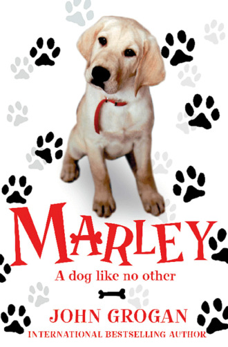 John  Grogan. Marley: A Dog Like No Other