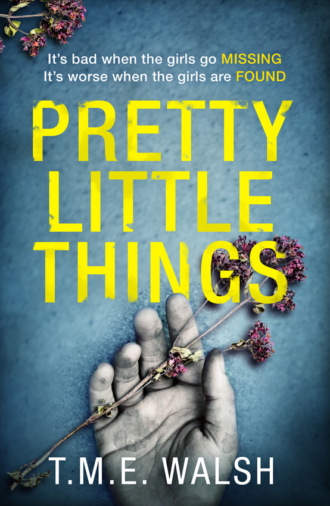 T.M.E.  Walsh. Pretty Little Things: 2018’s most nail-biting serial killer thriller with an unbelievable twist