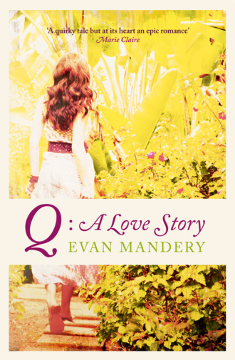 Evan  Mandery. Q: A Love Story