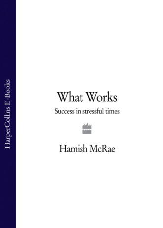 Hamish  McRae. What Works: Success in Stressful Times